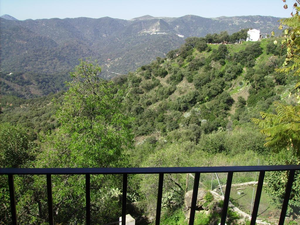 Casas Rurales Jardines Del Visir Genalguacil Exteriör bild