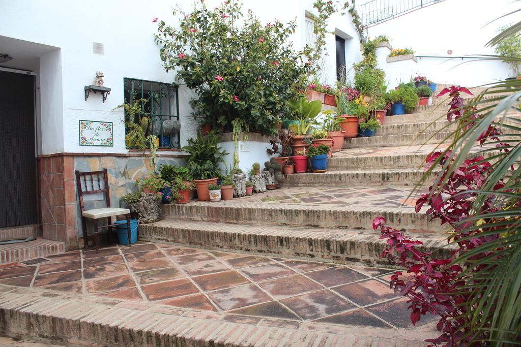 Casas Rurales Jardines Del Visir Genalguacil Exteriör bild