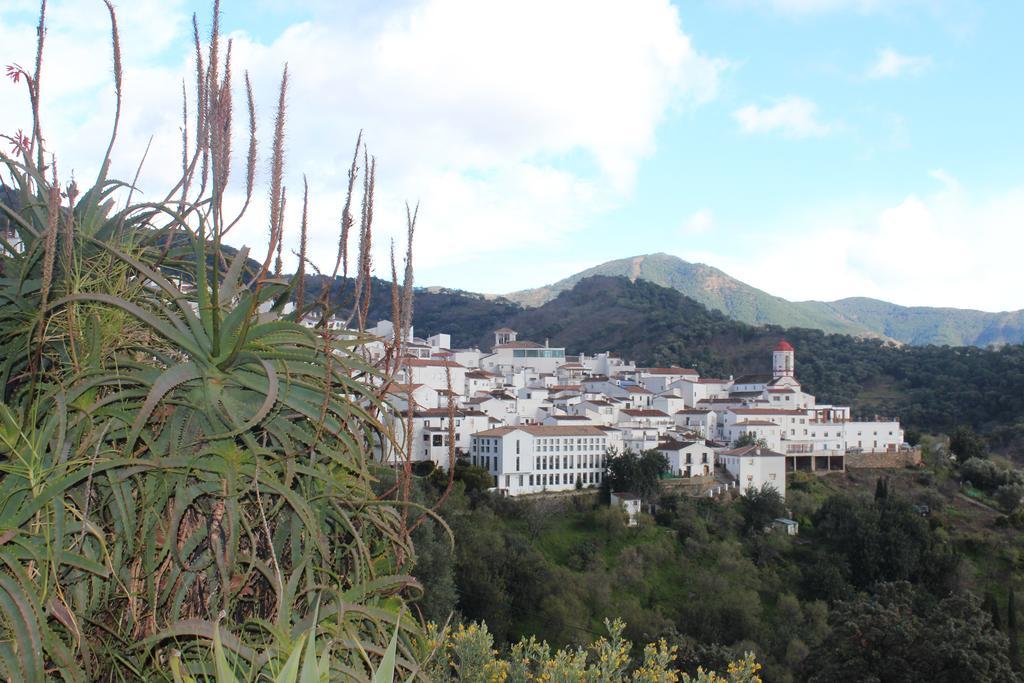 Casas Rurales Jardines Del Visir Genalguacil Exteriör bild