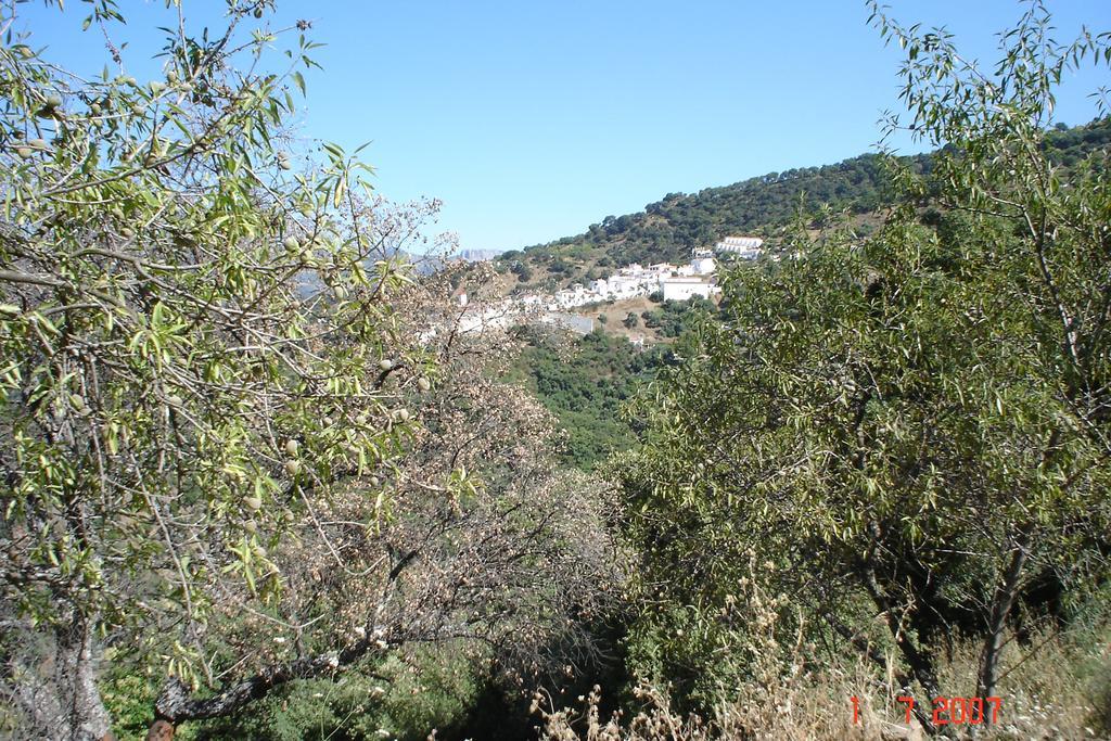 Casas Rurales Jardines Del Visir Genalguacil Exteriör bild