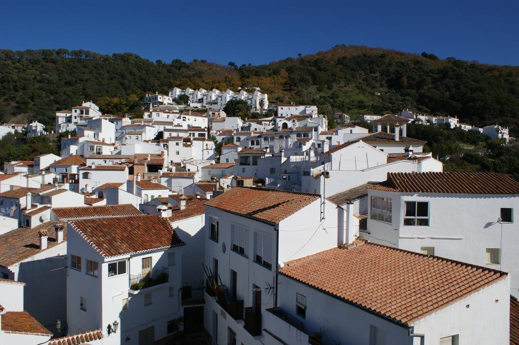 Casas Rurales Jardines Del Visir Genalguacil Exteriör bild