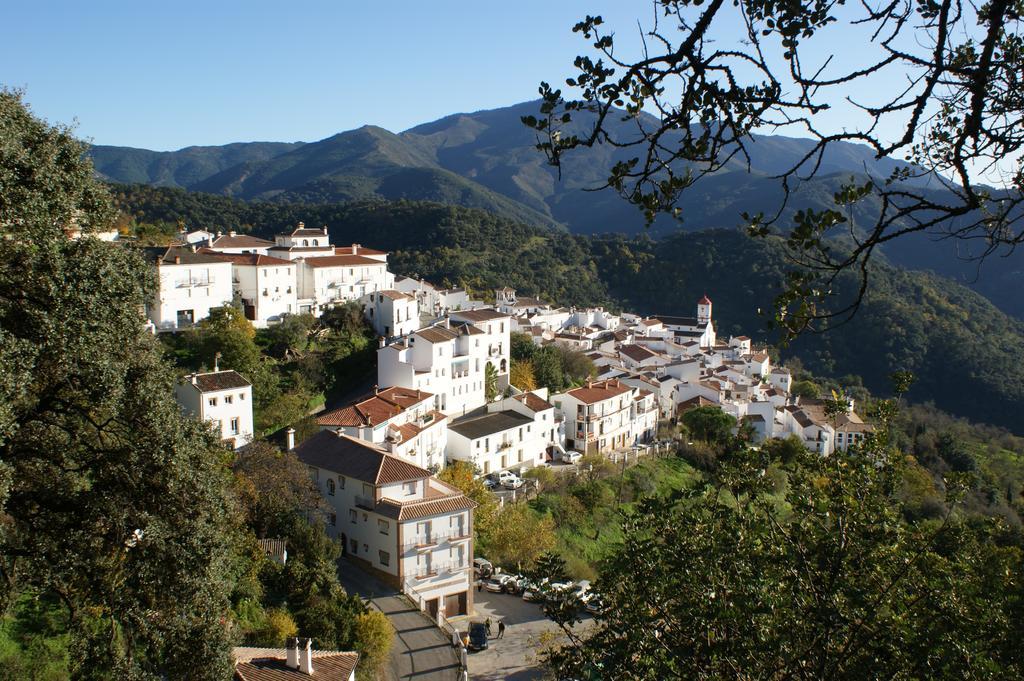 Casas Rurales Jardines Del Visir Genalguacil Exteriör bild