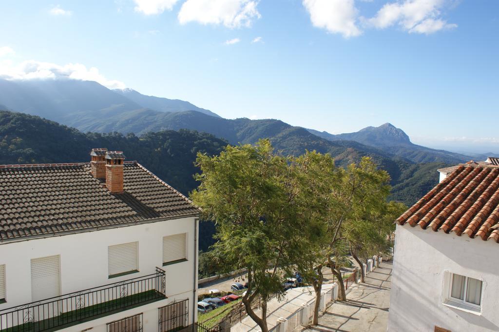 Casas Rurales Jardines Del Visir Genalguacil Exteriör bild